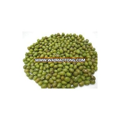 Organic green Mung Beans in bulk!