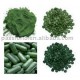 Hot Selling 100% High quality Spirulina powder