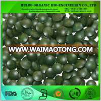 organic Spirulina powder / bulk spirulina tablets