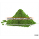 100% Pure Spirulina Organic Powder